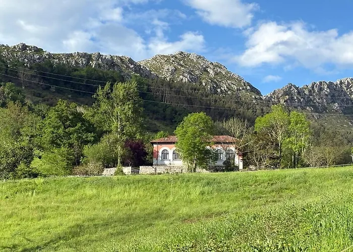 Escuelas De Collia C *